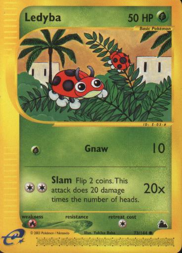 073 Ledyba